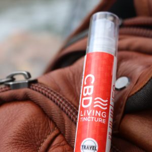 Travel Spray Tincture – 100 mg